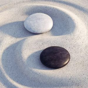 Partner Compatibility